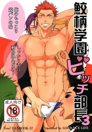 samezuka gakuen bitch buchou 3 cover