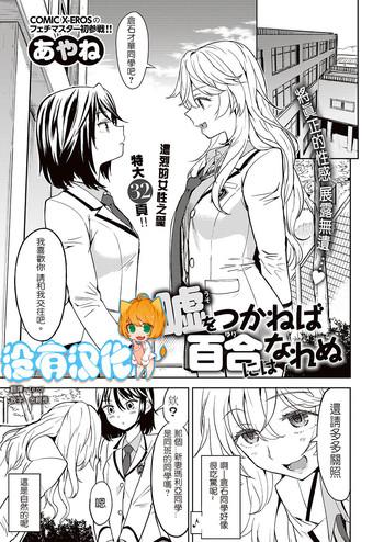 uso o tsukaneba yuri ni wa narenu if a lie is not told it cannot become yuri cover