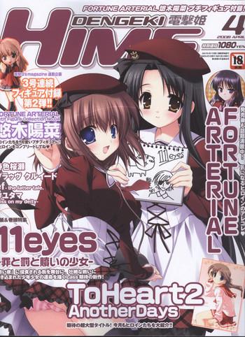 dengeki hime 2008 04 cover