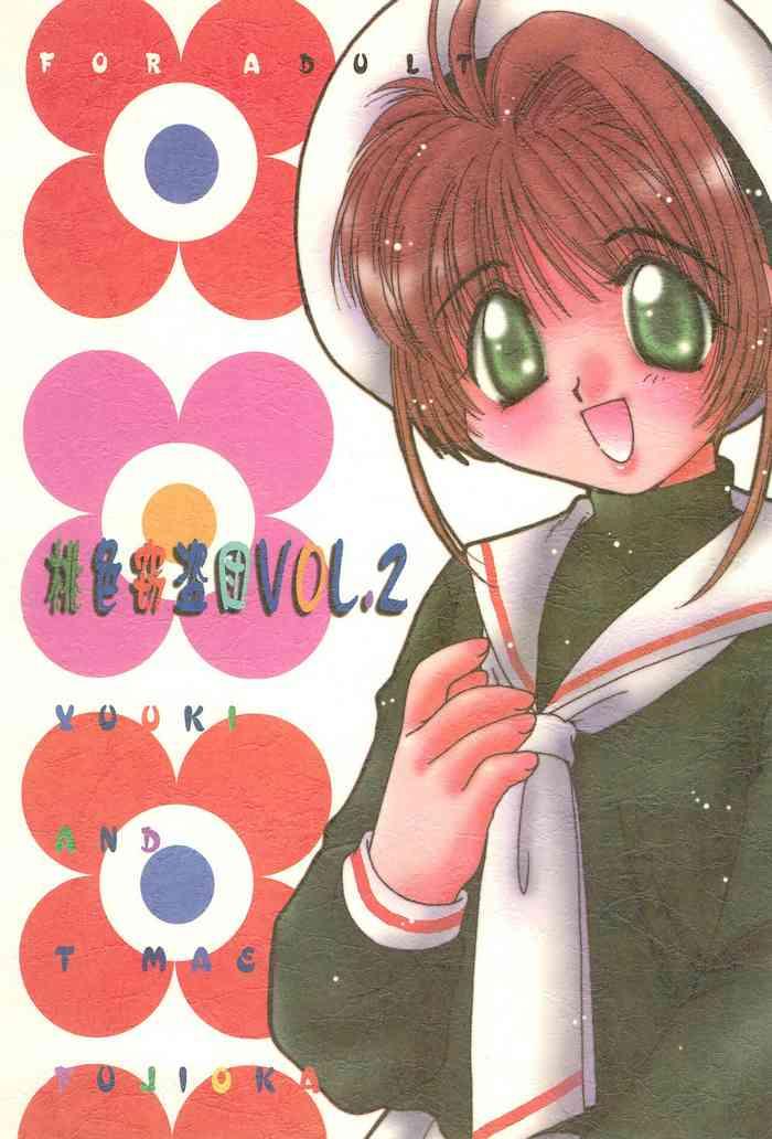 momoiro settoudan vol 2 cover