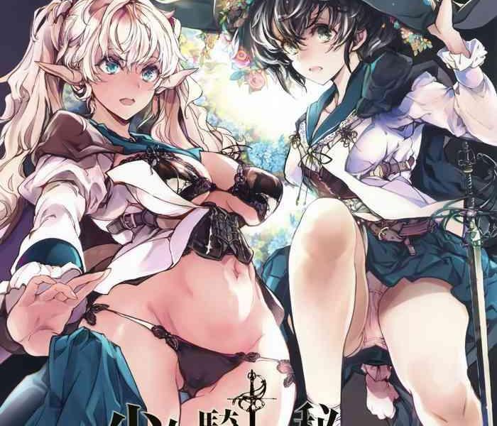 otome kishi no himegoto cover